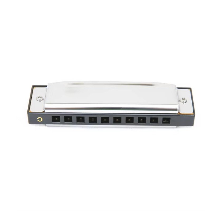 Customized 10-hole Harmonica C - Musical Instrument Logo recension och pris