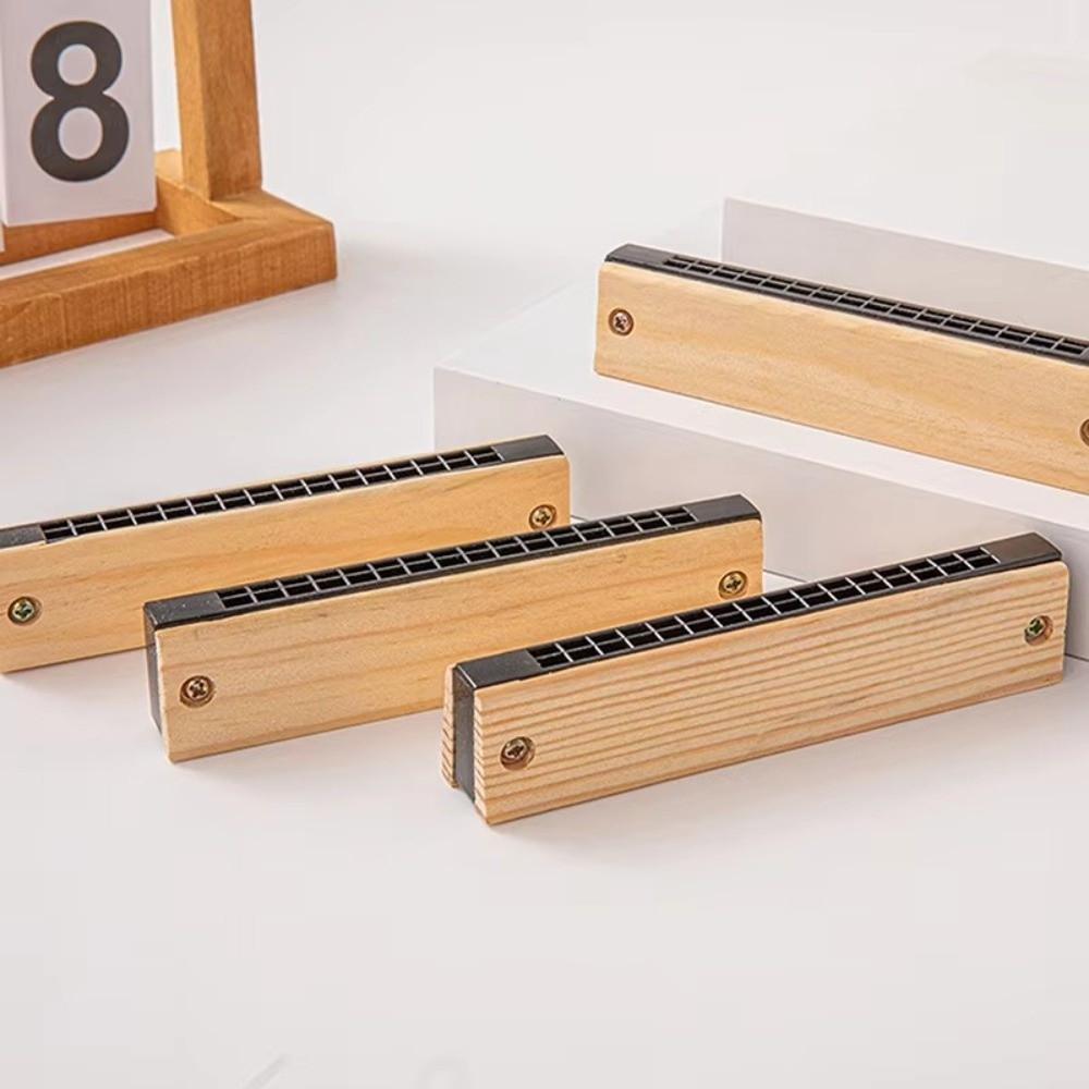 Creative DIY Little Harmonica  - Musical Instrument Melodica recension och pris