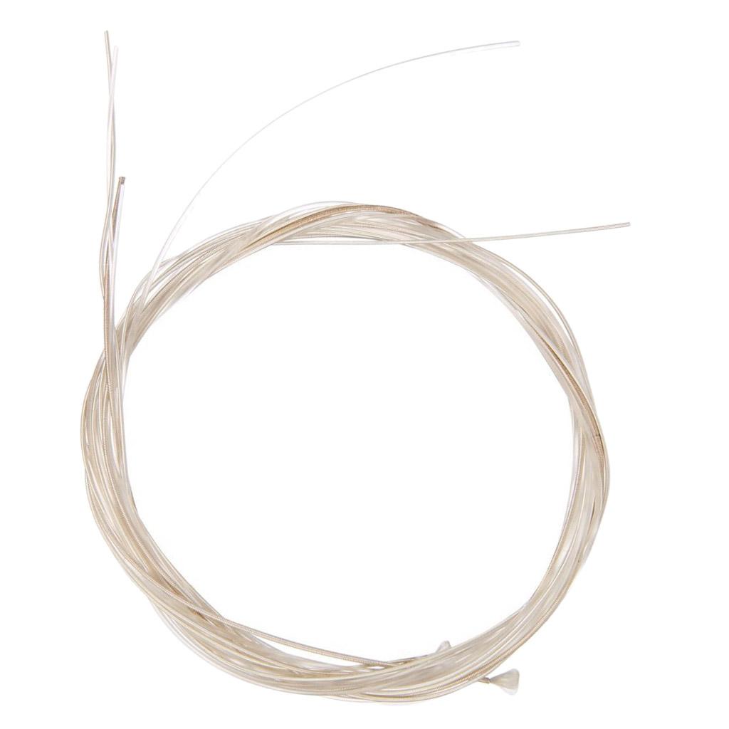 Classic Guitar Strings Nylon S - Classical Guitar Nylon recension och pris